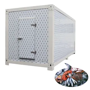 Commercial air blast chiller freezer machine blaster freezer room cold room