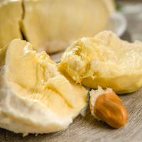 Voedselveilige Durian-verwerkingsmachine, Durian-ontpitter, Apparaat voor het scheiden van vruchtenkernen, Durian-pureemachine