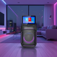 Système audio karaoké OEM haute puissance avec haut-parleur 80W 8 pouces sans fil, écran tactile LED 11,6 pouces, TV audio