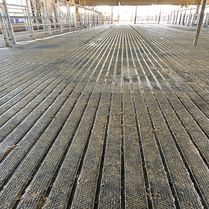 Le tapis de vache en caoutchouc laitier peut améliorer le confort des bovins laitiers et prévenir les risques de blessures - Product Image 6