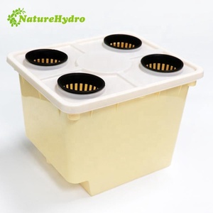 Sistema Completo de Cultivo Hidropónico en Cubetas Holandesas para Cultivar Pimientos - Product Image 2