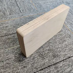 Wettbewerbspreis 30 mm 21 Schicht mächtiger Bodenbelag Birken-Stoffholzplatte für Tür