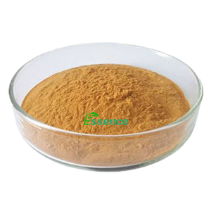 Extrait végétal naturel extrait de <span class=keywords><strong>Fragaria</strong></span> vesca poudre d'extrait de fraise sauvage pure 4:1, 10:1 - Product Image 2