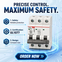 Disjoncteur coréen LS BK63H UL1077 1P-4P Courbe C 10kA 120/240V pour rail DIN, protection contre les surcharges et les courts-circuits pour boîtier de distribution USA 1A-63A