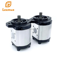 Pompe à engrenages industrielle monophasée pour huile moteur en aluminium certifiée CE Lexmua SGP CBK HGP AZPF PLP PGP