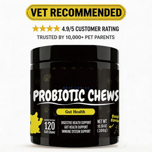 Suplemento Masticable Probiótico Orgánico Natural OEM para <span class=keywords><strong>Perros</strong></span>, Apoya la Salud Digestiva e Inmunológica, Absorción Rápida, Cuidado de la Salud de las Mascotas - Product Image 4
