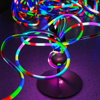 Ruban LED RGB rond 360 degrés D18mm 24V, pixels adressables, éclairage en spirale LED, IP65 PVC 5m, néon flexible pour bâtiment, hôtel, extérieur