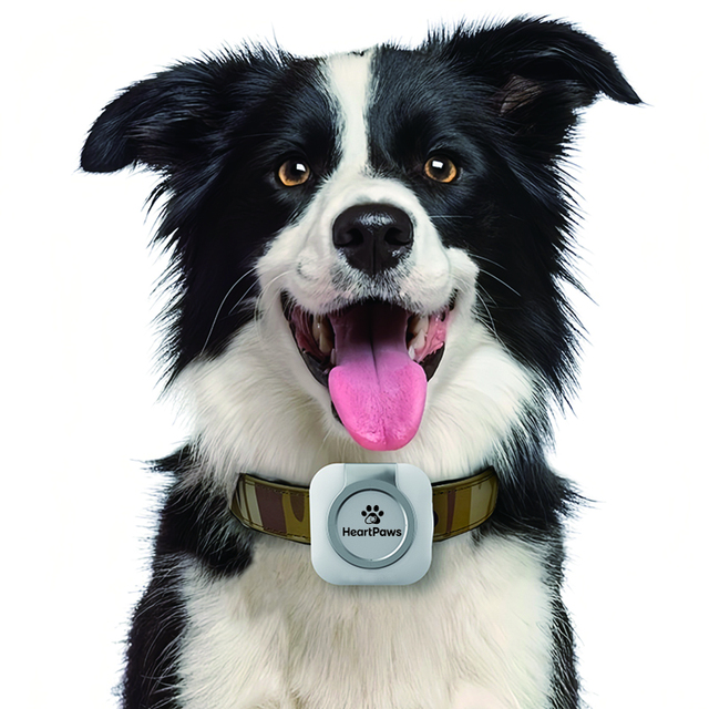 Smart Pet 4G GPS Tracker and E-Fence Locator Wireless Real Time Dog Cat Locator Tracking Collar with Health Monitor