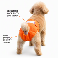 Culotte absorbante réutilisable pour chienne, respirante en maille, super absorbante, avec trou pour la queue, ajustable pour toutes les tailles