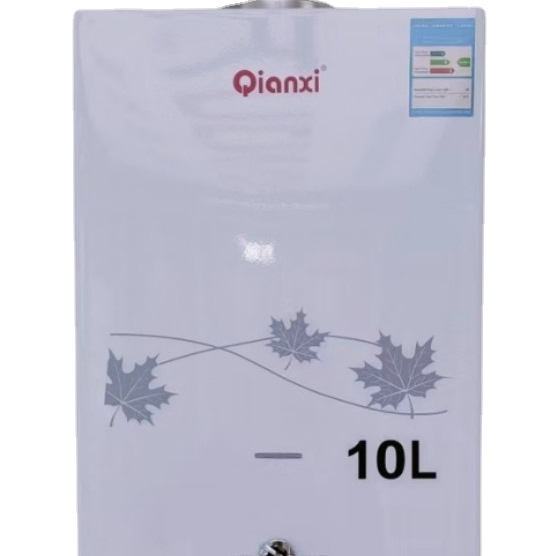 10l Automatic Ignition Gas Instant Water Heater Instant Shower Water Heater Lpg Gas Water Heater for Hotel