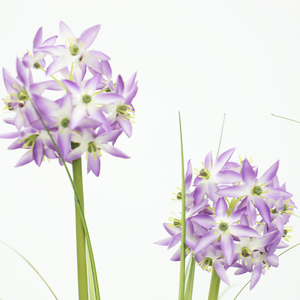 Hierba de cebolla Artificial para exteriores, hierba de 150 cm con olla, decoración del hogar, planta pequeña al por mayor para el mercado - Product Image 2
