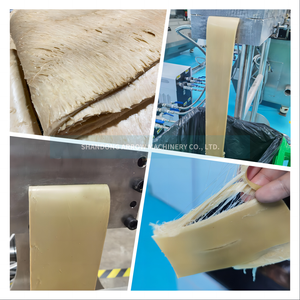 HMMA-línea de producción de carne vegana, hamburguesa, proteína, aperitivos, verduras, alta proteína - Product Image 5