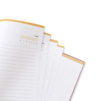Livre d'infirmière imprimé personnalisé d'usine en gros Hradcover carnet de notes de planificateur de soins personnels pour le Journal d'étude des soins infirmiers
