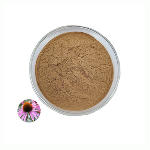 Chất lượng cao <span class=keywords><strong>Echinacea</strong></span> Purpurea chiết xuất 10:1 tự nhiên <span class=keywords><strong>Echinacea</strong></span> chiết xuất bột - Product Image 2