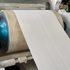 Sistema de Extrusión de Estiércol de Aves Personalizable: Tecnología Avanzada de Formación de Bandas para la Producción de Compost Orgánico - Product Image 3