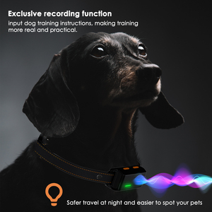 <span class=keywords><strong>Collar</strong></span> de Adiestramiento para Perros <span class=keywords><strong>2026</strong></span>, Ecológico, de Plástico, con Control Remoto de Largo Alcance, Impermeable IP67, para Corregir Comportamiento Malo - Product Image 5