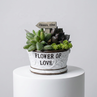 Pot de fleurs en résine imitation pierre et bois, écologique, avec trou de drainage, style vintage rustique, pour la décoration de jardin et des plantes succulentes