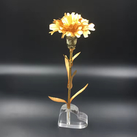 Décoration d'intérieur en gros : Œillet véritable préservé avec feuille d'or pour la Fête des Mères, cadeau pour maman