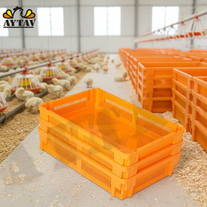 New PP <b>Plastic</b> Chick <b>Box</b> 80 Chick Capacity H Type Animal Cage for Farm Use AYTAV Long Service Life All Seasons 1 Year Warranty - Product Image 3