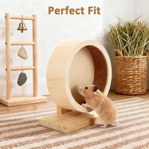 Roue d'exercice pour petits animaux en gros, réglable, silencieuse, en bois, jouet pour <span class=keywords><strong>hamster</strong></span>, accessoires pour cage d'animaux - Product Image 6