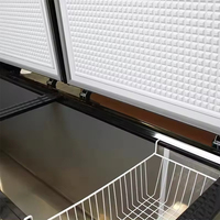 Congélateur coffre commercial à 2 portes, neuf, 220V, éclairage LED, pour usage domestique et restaurant, avec panier