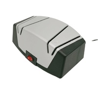 Fentes d'affûtage à 2 étages approuvées par l'ETL avec abrasifs diamantés et guides précis pour la maison de couteaux droits en métal et en céramique