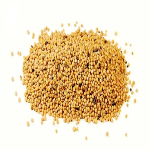 Poudre de <span class=keywords><strong>moutarde</strong></span> Brassica Juncea de qualité alimentaire standard GMP de haute qualité dans des fûts emballés sous vide - Product Image 6