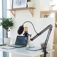 Kit de Microphone à Condensateur et Carte Son pour Podcast, Micro Karaoké USB BM800, Studio d'Enregistrement en Direct