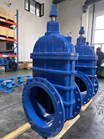 Vanne à vanne en fonte ductile PN10/16 DN300 DN400 DN500 DN600 vanne à vanne en cale avec contrôle de type T