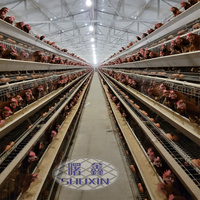 Cage à poules pondeuses en fil de fer galvanisé à chaud, capacité 96-160 oiseaux, pour l'élevage de poules pondeuses en ferme avicole