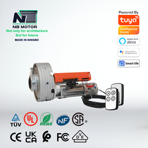 NB Motor Reroad 180N.M Moteur central de conception moderne pour hôtel pour volets roulants/Moteur à engrenages pour volets roulants - Product Image 3
