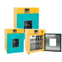 Incubadora Inteligente de Temperatura Constante con Calefacción Eléctrica Serie DHP para Bacterias, Células y Microorganismos de Laboratorio