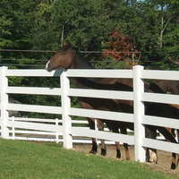 Clôture de sécurité extérieure en PVC vinyle à 4 rails de haute qualité pour chevaux et bétail, vente en gros pour l'exportation