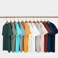 Camiseta de Hombre CANOPUS EL0008 Personalizada, de Algodón Grueso de 300 g/m², Corte Holgado, Transpirable, Ecológica y de Secado Rápido