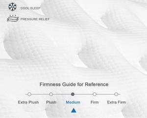 12 inch Nữ Hoàng lai nệm hiện đại hộp mùa xuân thoáng khí Túi xốp cách ly chuyển động mùa xuân-KHÁCH SẠN CĂN HỘ trung bình - Product Image 5