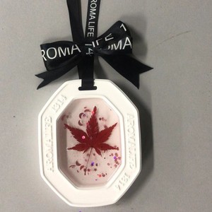 Aromatizante Romántico en Forma Sólida de Yeso, 500g, Ecológico, Fragancia Duradera para Armario, Guardarropa, Dormitorio, Auto - Product Image 2