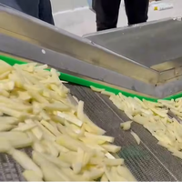 Hoog rendement continue productielijn voor aardappelchips en -friet, automatische productielijn voor diepvriesfriet