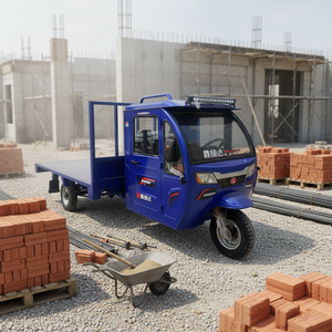 MANOT Triciclo de 3 Ruedas, Mini Dumper con Cabina y Carrocería Cerrada - Product Image 1