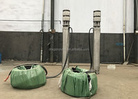 Pompe de forage 100m3/h Électrique 400v 440 Volt Pompe submersible pour puits profond 60 ch