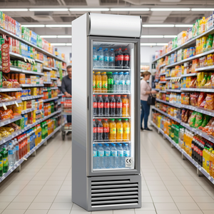 Réfrigérateur commercial vertical Klimasan Inova 420 à porte vitrée simple, haute température et humidité, pour boissons, certifié CE - Product Image 3