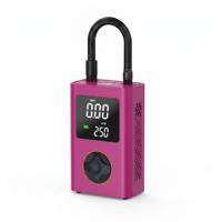 Compresseur d'air numérique portable sans fil pour pneus de voiture, marque privée, pour la vente en gros et prêt à l'emploi en supermarché