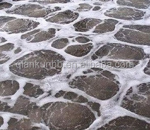 고품질 엔진 구동 펌프 PLC 에어레이션 탱크 디스크형 미세 기포 공기 디퓨저 (연못 에어레이션용) 1년 보증 - Product Image 6