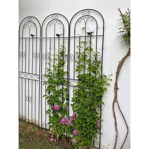 Panel de Enrejado Clásico de Hierro Forjado para Plantas Trepadoras, Valla de Jardín para Exteriores con Diseño Ornamental, Marco de Soporte Metálico Pintado - Product Image 5