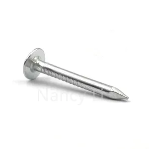 1"*2.8mm Electro Galvanized Roofing Cupper Nails for Nigeria 25kgs