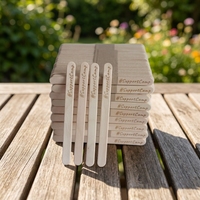 Bâtonnets de glace biodégradables en bois écologiques, personnalisables avec logo, prix de gros