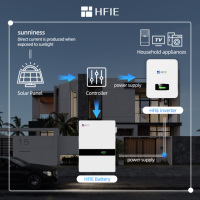 HFIE Les plus grands fabricants de batteries au monde Batterie solaire au lithium 51.2V 200Ah 400Ah 10kWh 20kWh Banque de batteries solaires domestiques