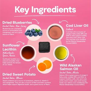 Suplementos para el Cuidado de la Salud de Mascotas de Marca Privada OEM/ODM, Masticables Suaves para Piel y Pelaje con Sabor a Salmón, Suplementos Nutricionales para Mascotas - Product Image 2
