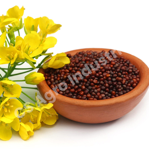 Especias enteras de semilla de mostaza negra de alta pureza | Ingrediente de cocina ayurvédica | Uso de alimentos y aceites esenciales - Product Image 5