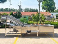 Automatische groente- en fruitwasser met grote capaciteit van roestvrij staal voor commerciële fruit- en groentemachines