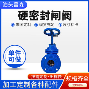 Válvula de Compuerta Flangeada de Hierro Fundido DN40 de 4 Pulgadas, de Una Vía, para Agua a Media Presión, Accionada por Turbina - Product Image 2